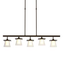 Hubbardton Forge 136605-SKT-LONG-14-ZU0284 - Wren 5 Light Pendant