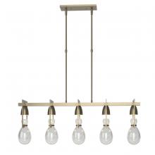 Hubbardton Forge 137810-SKT-STND-84-ZM0572 - Apothecary Pendant