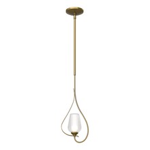 Hubbardton Forge 183050-SKT-MULT-86-ZS0354 - Flora Up Light Mini Pendant