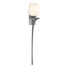 Hubbardton Forge 204710-SKT-RGT-82-GG0236 - Antasia Single Glass 1 Light Sconce