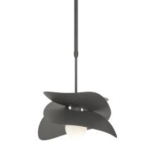 Hubbardton Forge 369455-SKT-LONG-20 - Hibiscus Outdoor Pendant