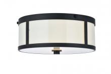  LD6019 - Hadrian 2 Light 12 Inch Flat Black Flush Mount