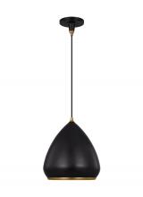 Visual Comfort & Co. Studio Collection TP1121AIBBS - Clasica Medium Pendant