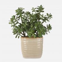 Uttermost 60226 - Uttermost Crassula Jade Accent Plant