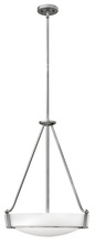 Hinkley 3222AN - Medium Pendant